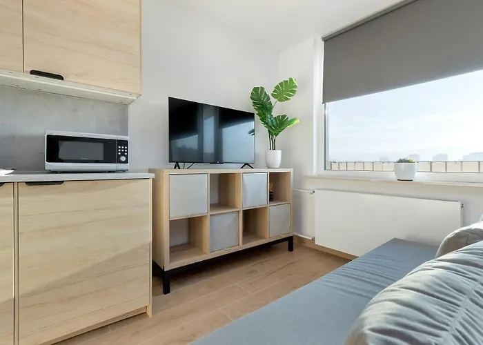Appartement Beige And Grey In With Balcony Close To The By Renters *